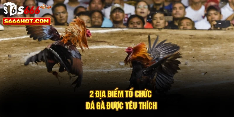 2 địa điểm tổ chức đá gà được yêu thích
