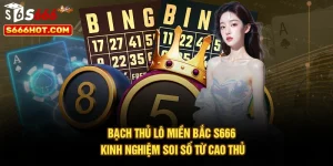 Bạch Thủ Lô Miền Bắc S666 – Kinh Nghiệm Soi Số Từ Cao Thủ