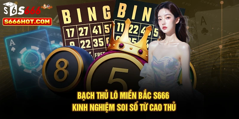 Bạch Thủ Lô Miền Bắc S666 – Kinh Nghiệm Soi Số Từ Cao Thủ