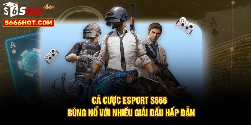 Cá Cược Esport S666 - Bùng Nổ Với Nhiều Giải Đấu Hấp Dẫn