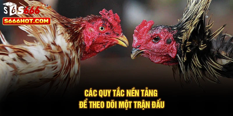 Các quy tắc nền tảng để theo dõi một trận đấu