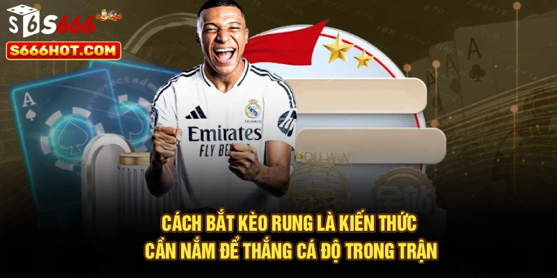 Cách bắt kèo rung là kiến thức cần nắm để thắng cá độ trong trận
