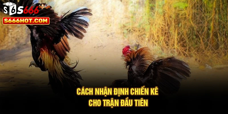 Cách nhận định chiến kê cho trận đầu tiên