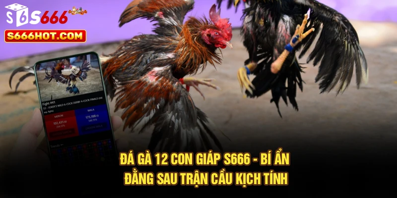 Đá Gà 12 Con Giáp S666 - Bí Ẩn Đằng Sau Trận Cầu Kịch Tính