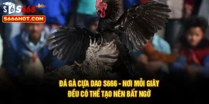 Đá Gà Cựa Dao S666 - Nơi Mỗi Giây Đều Có Thể Tạo Nên Bất Ngờ
