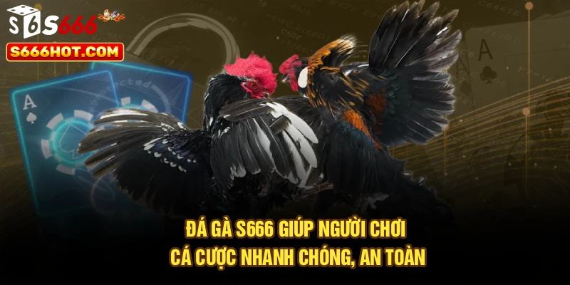 Đá gà S666 giúp người chơi cá cược nhanh chóng, an toàn