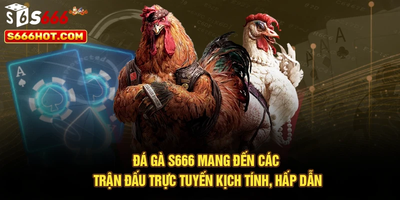 Đá gà S666 mang đến các trận đấu trực tuyến kịch tính, hấp dẫn