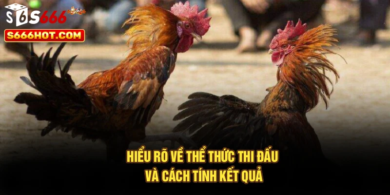 Hiểu rõ về thể thức thi đấu và cách tính kết quả