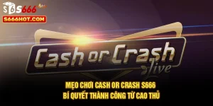 Mẹo Chơi Cash Or Crash S666 – Bí Quyết Thành Công Từ Cao Thủ