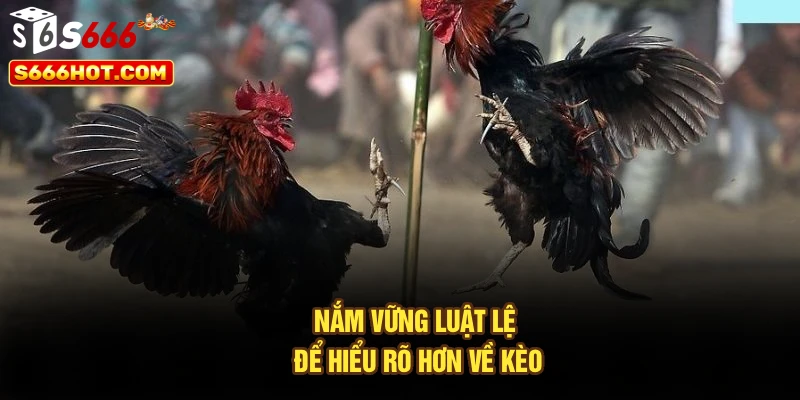 Nắm vững luật lệ để hiểu rõ hơn về kèo