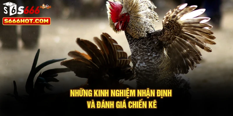 Những kinh nghiệm nhận định và đánh giá chiến kê