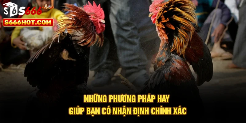 Những phương pháp hay giúp bạn có nhận định chính xác