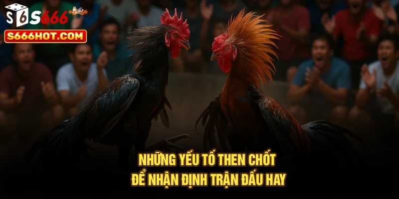 Những yếu tố then chốt để nhận định trận đấu hay