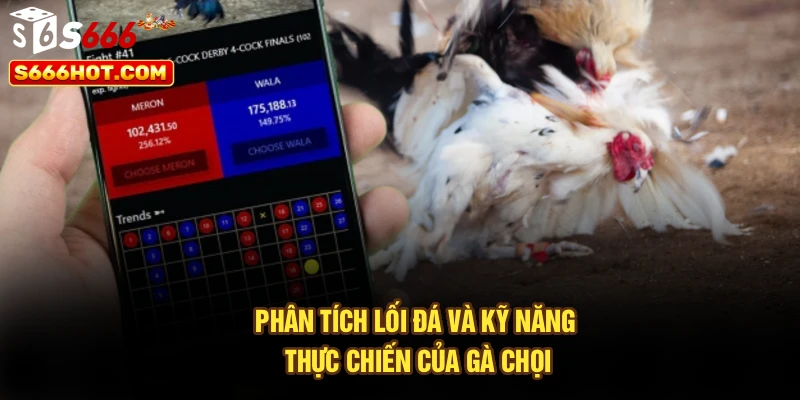 Phân tích lối đá và kỹ năng thực chiến của gà chọi