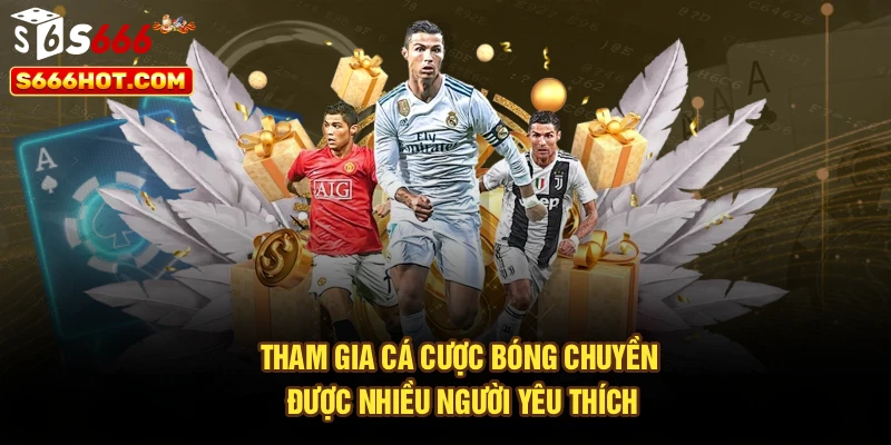 Tham gia cá cược bóng chuyền được nhiều người yêu thích