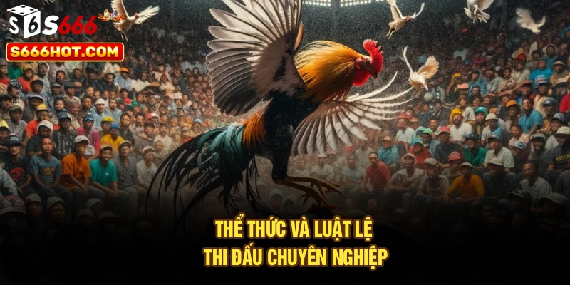Thể thức và luật lệ thi đấu chuyên nghiệp