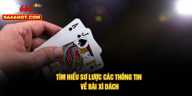 Tìm hiểu sơ lược các thông tin về bài xì dách