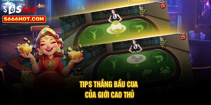 Tips thắng bầu cua của giới cao thủ