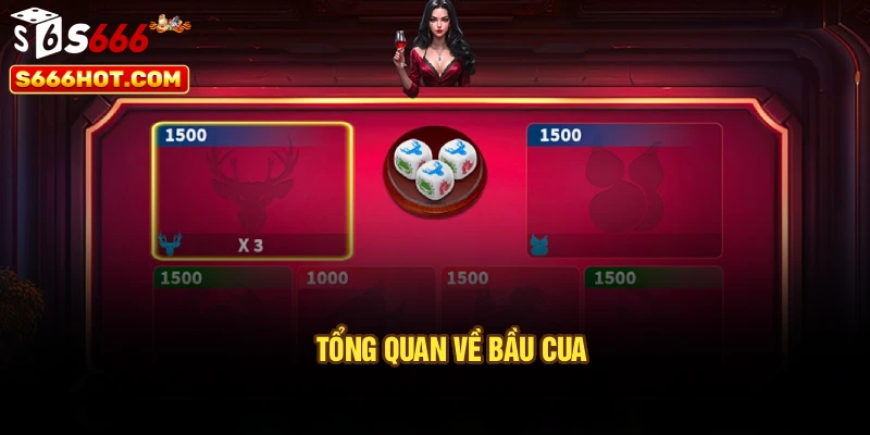 Tổng quan về bầu cua